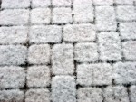 IMG0206.jpg