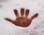 handinsnow2.jpg