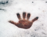 muddyhandinsnow.jpg